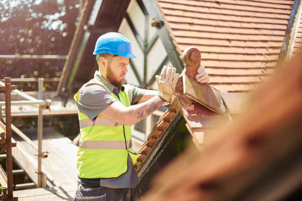 Best Roof Repair Services  in Lame Deer, MT